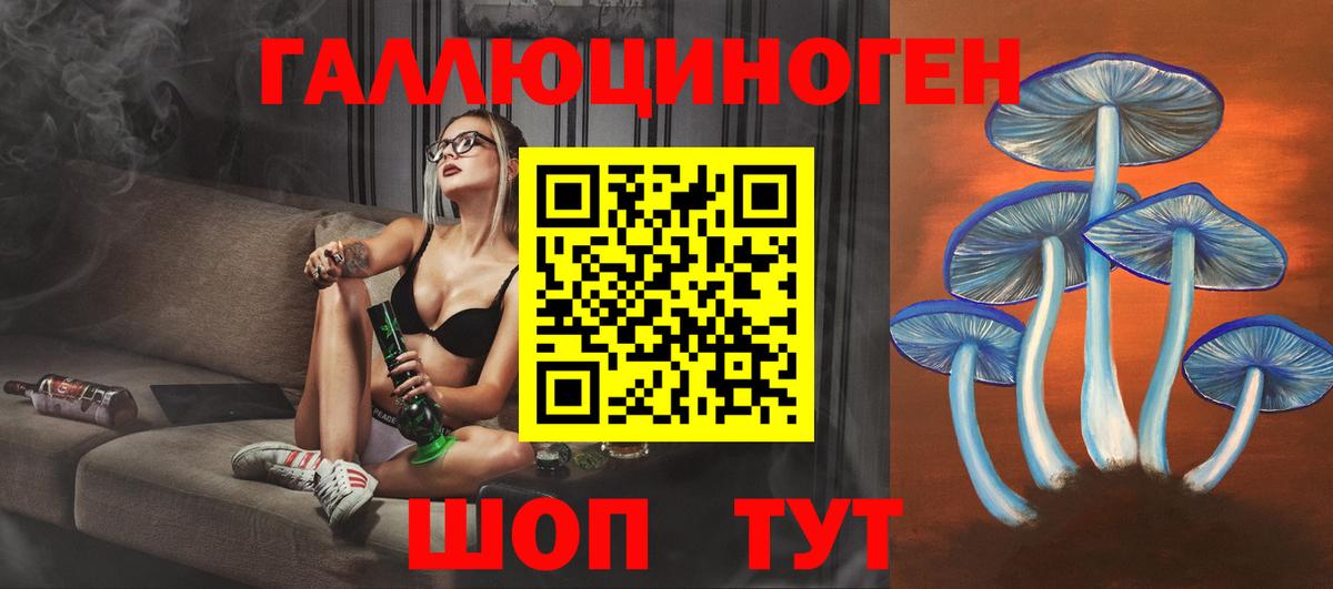 Псилоцибиновые грибы Cubensis Долгопрудный